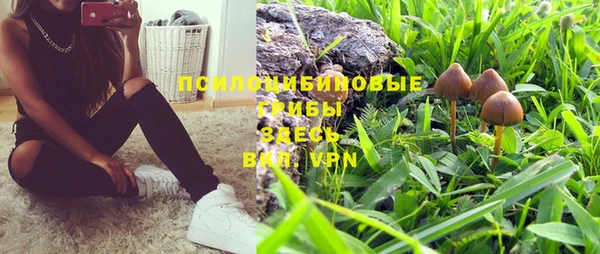 стафф Баксан